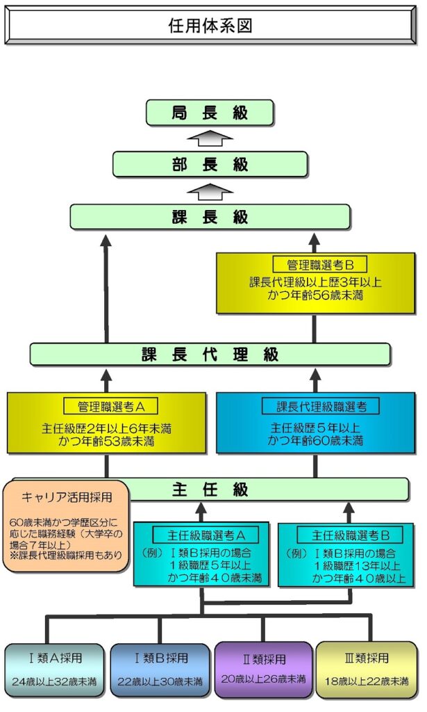 東京都職員の任用のしくみ
